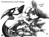 Cartoon: Chinese Dragon - Europe (small) by Nizar tagged chinese dragon europe beijing biennial asem financial crisis summit