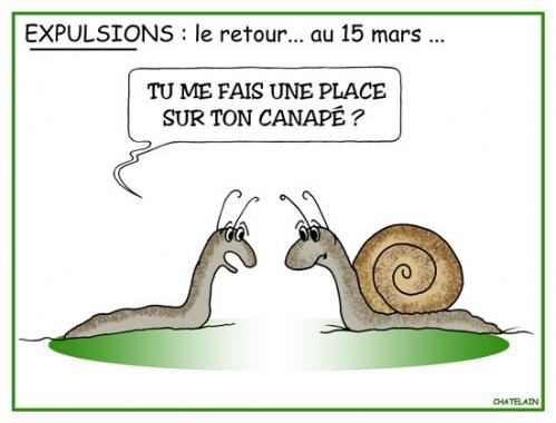 Cartoon: EXPULSIONS LOCATIVES (medium) by chatelain tagged humour,