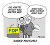 Iden der FDP