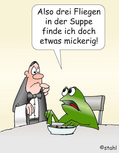 Fliegen in der Suppe