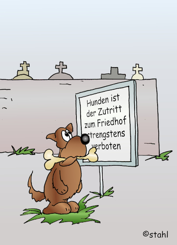 Hundefriedhof Hundefriedhof