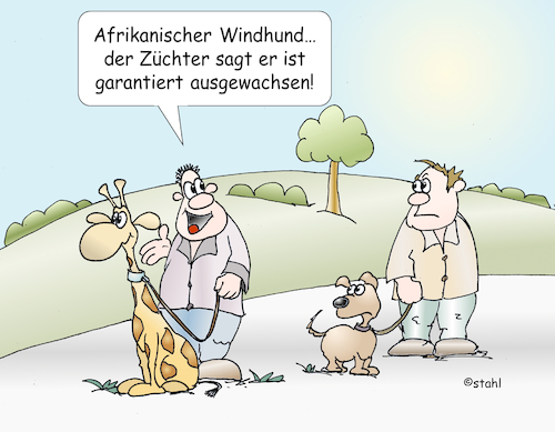 Cartoon: neuer Hund (medium) by wista tagged hund,hunde,züchter,kaufen,neu,neuer,hunderasse,rasse,züchten,reinrassig,zwinger,dackel,schäferhund,pudel,windhund,gross,klein,giraffe,afrika,leine,spazierengehen,gassi,gehen,ausführen,typ,typen