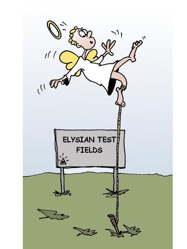 Cartoon: Testfield (medium) by wista tagged test,field,angel,fly,flying