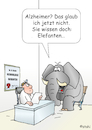 Elefanten vergessen nie!