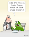 Fliegen in der Suppe