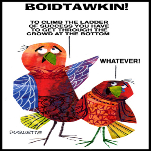 Cartoon: BOIDTAWKIN (medium) by STEVEN DUQUETTE tagged birds,stylized,colorful,cartoon,humorous
