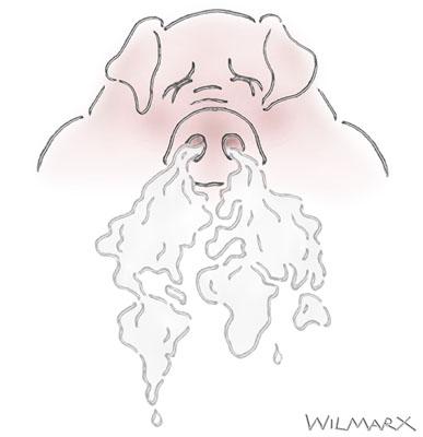 Cartoon: Time of Globalization (medium) by Wilmarx tagged world,health,swine,flu,animal