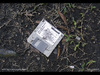Cartoon: Diskette Word6 (small) by Wilmarx tagged diskette word6