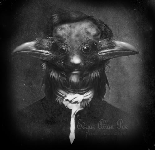 Cartoon: Edgar Allan Poe (medium) by peewee gonzoid tagged poe,raven,peewee,gonzoid