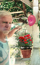 Cartoon: no text (small) by Miro tagged no,text