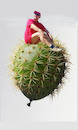 Cartoon: no text (small) by Miro tagged no,text