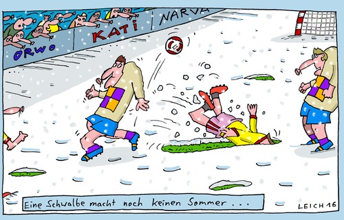 Cartoon: Fußball (medium) by Leichnam tagged fußball,sport,schwalbe,sommer,winter,foul
