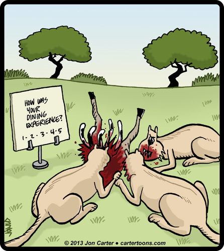 Cartoon: Kill Feedback (medium) by cartertoons tagged animals,lions,africa,feedback,customer,surveys,animals,lions,africa,feedback,customer,surveys