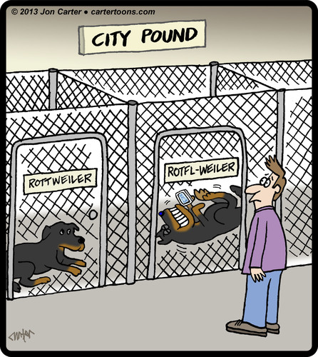 Cartoon: ROTFLweiler (medium) by cartertoons tagged rottweiler,dogs,pound,pets,technology,texting,rottweiler,dogs,pound,pets,technology,texting