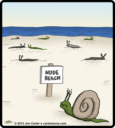 Cartoon: Snail Nude Beach (medium) by cartertoons tagged snails,animals,nudity,beaches,oceans,recreational,snails,animals,nudity,beaches,oceans,recreational