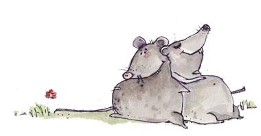 Cartoon: Mäuse (medium) by ristalls tagged animal