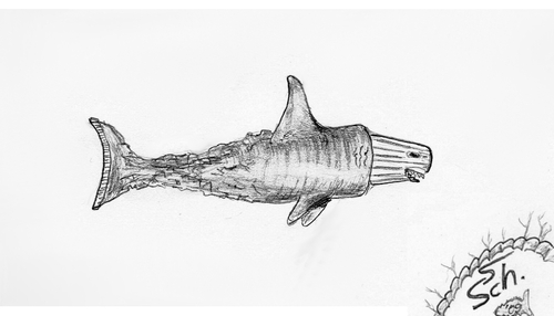 Cartoon: Hai-lauer 3 (medium) by swenson tagged hei,shark,hailauer,joke