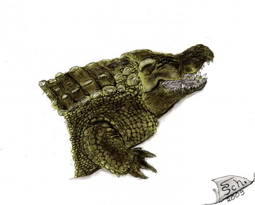 Cartoon: Krokodil 2 (medium) by swenson tagged animal,animals,tier,reptil,echse,krokodil