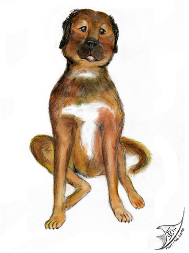 Cartoon: Paul (medium) by swenson tagged animal,animals,dog,hund,perro