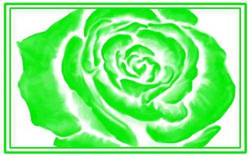 Cartoon: White Rose (medium) by swenson tagged rose,flower,blume