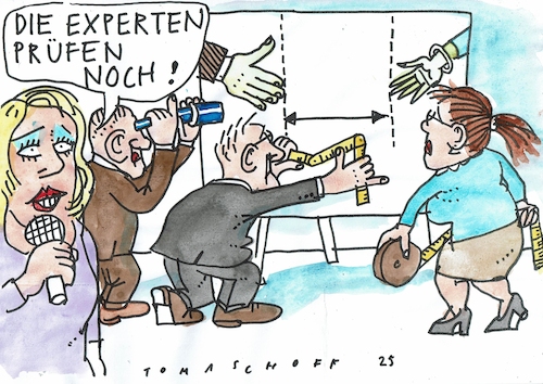 Cartoon: Experten (medium) by Jan Tomaschoff tagged baerbock,syrien,islamismus,frauen,männer,baerbock,syrien,islamismus,frauen,männer