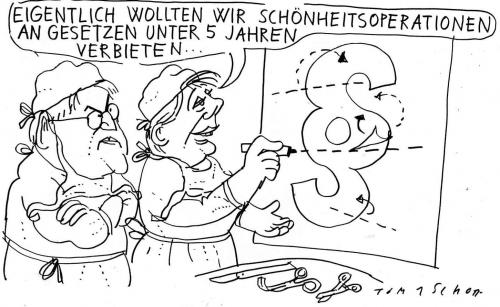 Cartoon: Gesetze (medium) by Jan Tomaschoff tagged gesetze