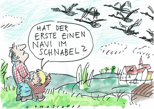Cartoon: Navi (medium) by Jan Tomaschoff tagged natur,zugvögel,herbst,frühling,navigation,natur,zugvögel,herbst,frühling,navigation