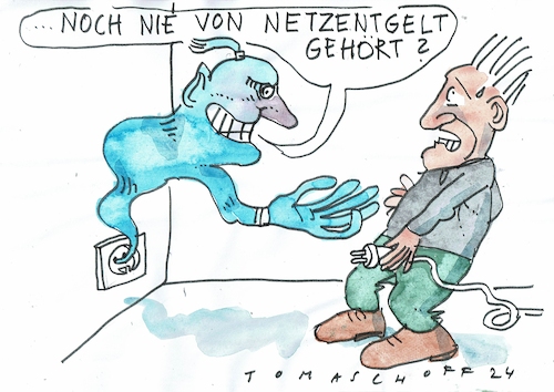 Netzentgelt