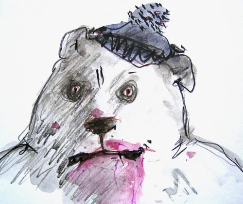Cartoon: Knut (medium) by nele andresen tagged eisbär,bestimmung,hunger
