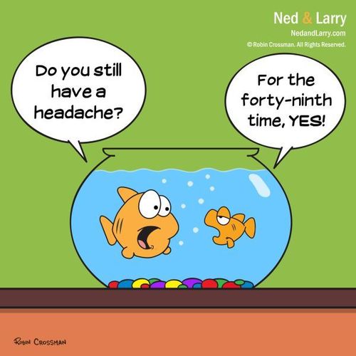 Cartoon: Ned and Larry - Headache (medium) by NedandLarryComics tagged cartoon,cartoons,fish,goldfish,comic,comics,ecards,headache