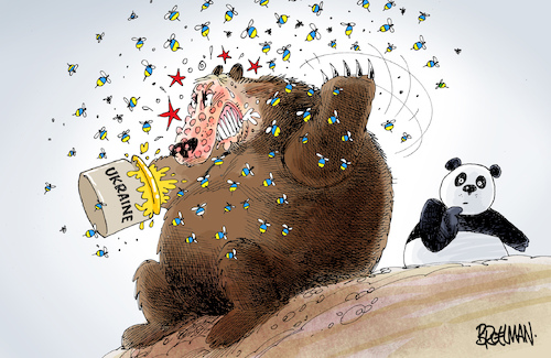 Cartoon: Putin gets stung (medium) by Broelman tagged putin,ukraine