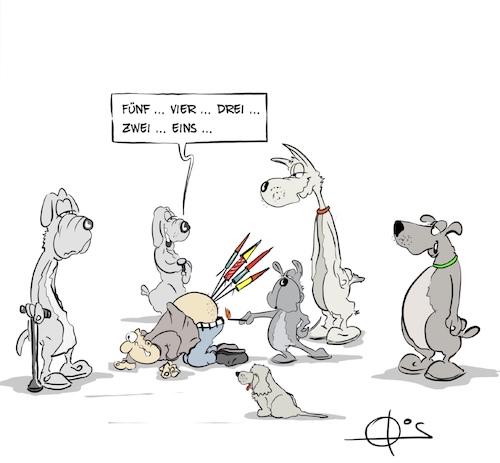 20241229-Hundesilvester-H 20241229-Hundesilvester-H