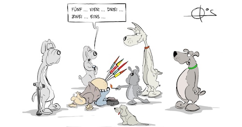 20241229-Hundesilvester 20241229-Hundesilvester