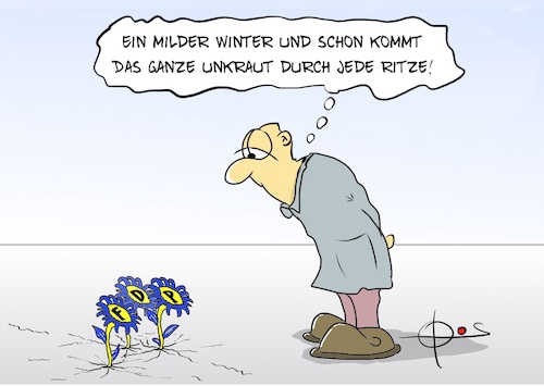20260531-UnkrautFDP
