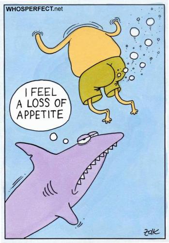 Cartoon: shark (medium) by WHOSPERFECT tagged shark