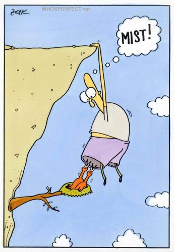 Cartoon: vogel (medium) by WHOSPERFECT tagged vogel