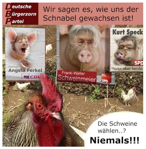 Cartoon: Plakatwerbung im Hühnerstall (medium) by Bürgerschreck tagged merkel,steinmeier,kurt,beck,hühnerstall,plakatwerbung,wahlkampf,schweine,ferkel