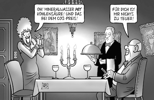 CO2-Einnahmen CO2-Einnahmen