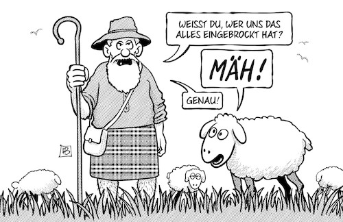 Highland-Schaf Highland-Schaf