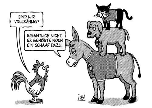 Schaaf Schaaf
