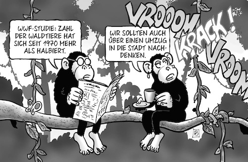 Waldtiere Waldtiere