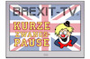 Cartoon: Brexit-TV (small) by Harm Bengen tagged tv,zwangspause,clown,verlängerung,neuwahlen,brexit,unterhaus,regierung,boris,johnson,gb,uk,harm,bengen,cartoon,karikatur