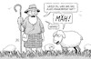 Highland-Schaf
