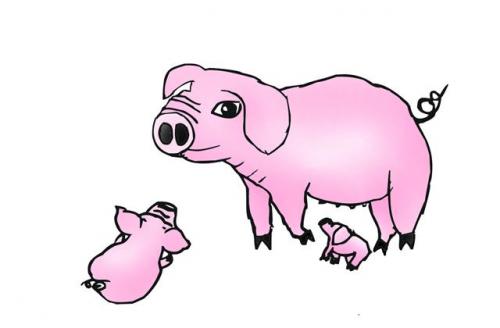 Cartoon: pig (medium) by sontaya tagged pig