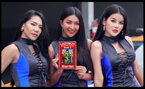 Cartoon: My Ladyboy Book (medium) by Mike Baird tagged book,ladyboy,life,thailand