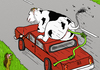 Cartoon: Low Carbon 2 (small) by Dadaphil tagged cow,dadaphil,car,green,environement,kuh,auto,co2,grün,umwelt