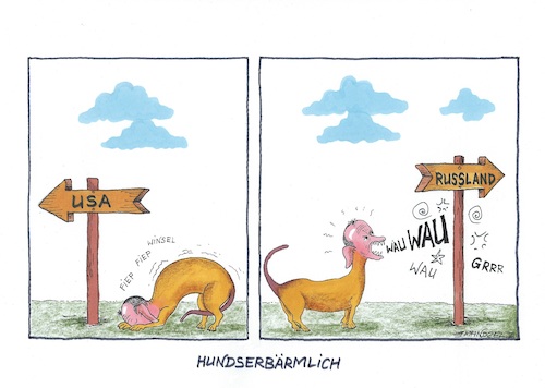 Mal Memme und mal Kampfhund
