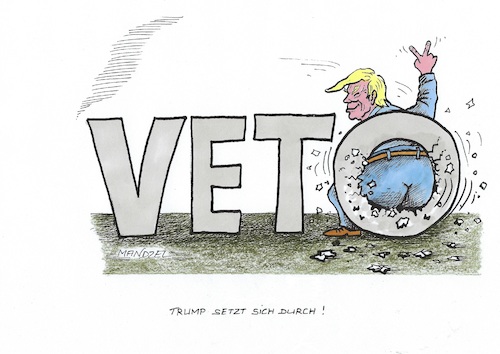 Cartoon: Trump setzt sich durch (medium) by mandzel tagged usa,trump,demokraten,republikaner,mauerbau,veto,usa,trump,demokraten,republikaner,mauerbau,veto