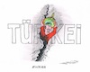 Cartoon: Erdogan löst eine Spaltung aus (small) by mandzel tagged erdogan,türkei,referendum,spaltung,diktatur
