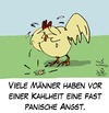 Cartoon: Kahlheit (small) by Andreas Pfeifle tagged hahn glatze kahl panik trauer feder haarausfall